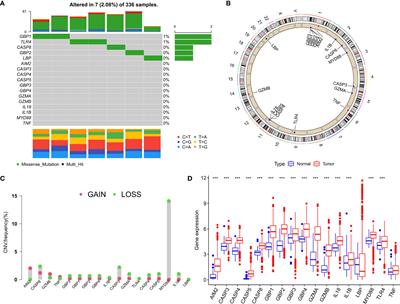 Pyroptosis Regulators and Tumor Microenvironment Infiltration Characterization in Clear Cell Renal Cell Carcinoma